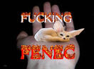 fucking fenec